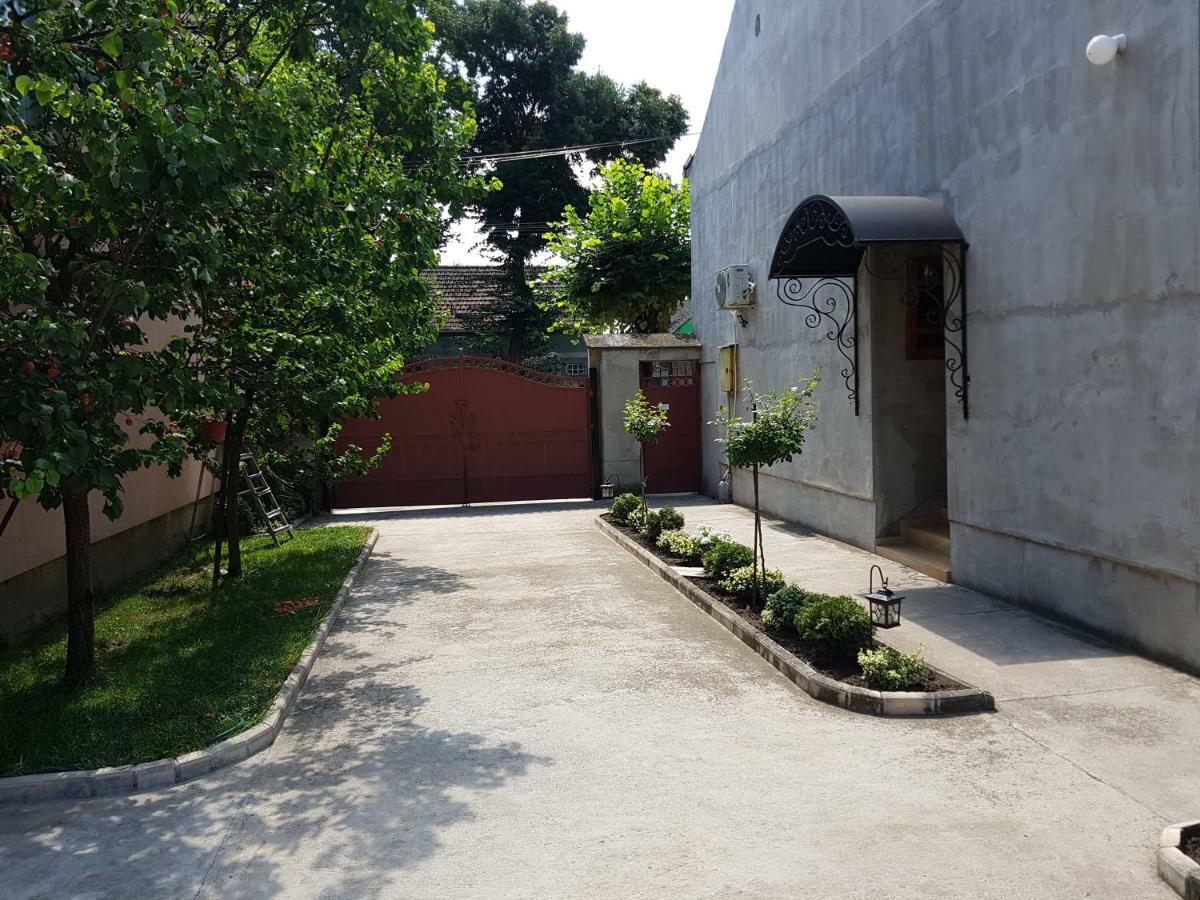 Apartman Vila Milica Kikinda Exterior photo